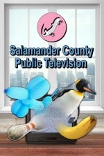 Salamander County Public Television