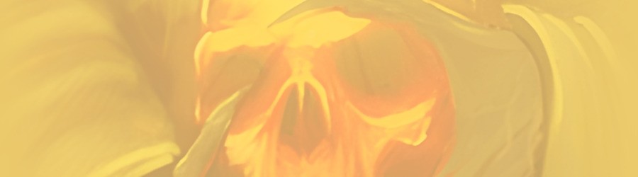 The Temple of Elemental Evil