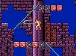 "Only Sickos Can Beat This Mode" - This Castlevania-Inspired Platformer Challenges You to Tackle It Buck-Naked