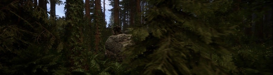 Sons Of The Forest