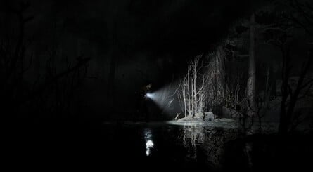 Silver Pines Screenshot