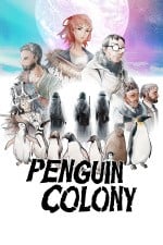 Penguin Colony