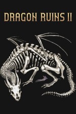 Dragon Ruins II <span class="sys">PC</span>